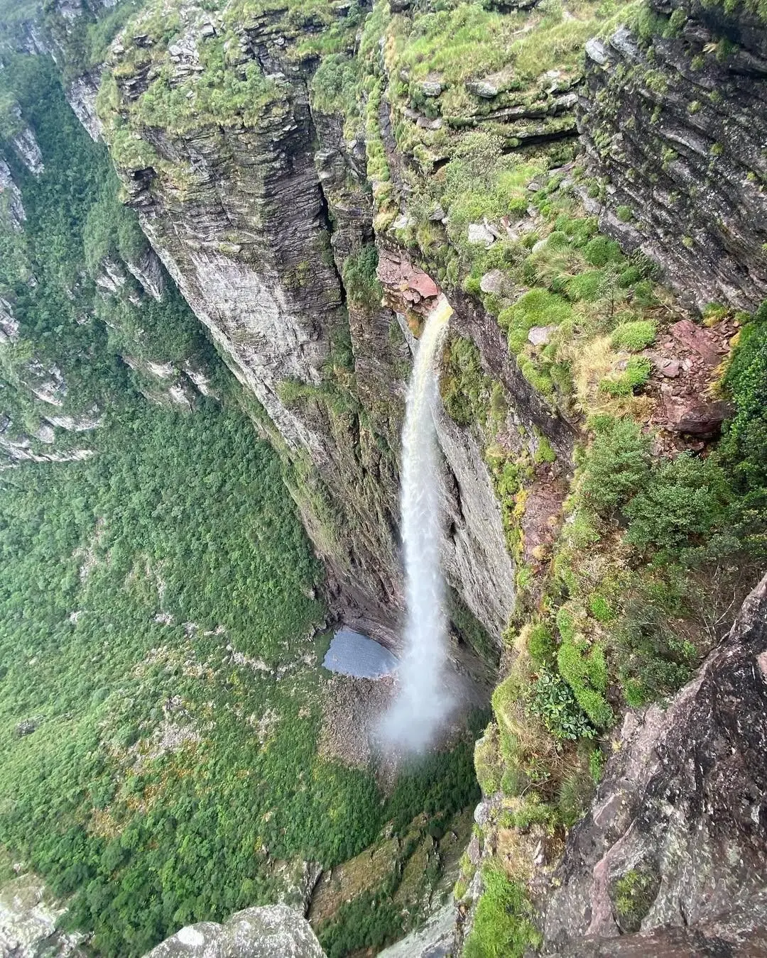 Fumaça Waterfall seen from above: a thread of water falling down the cliff to the forested valley