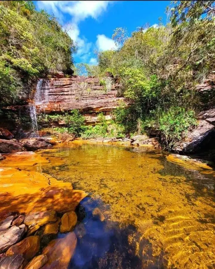 Shallow pool of clear, golden water at the foot of a slender waterfall, among rocks and forest