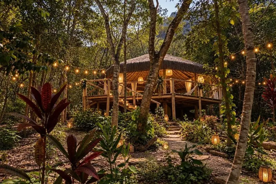 Wooden deck lit up at night in the middle of the forest, with string lights and plants