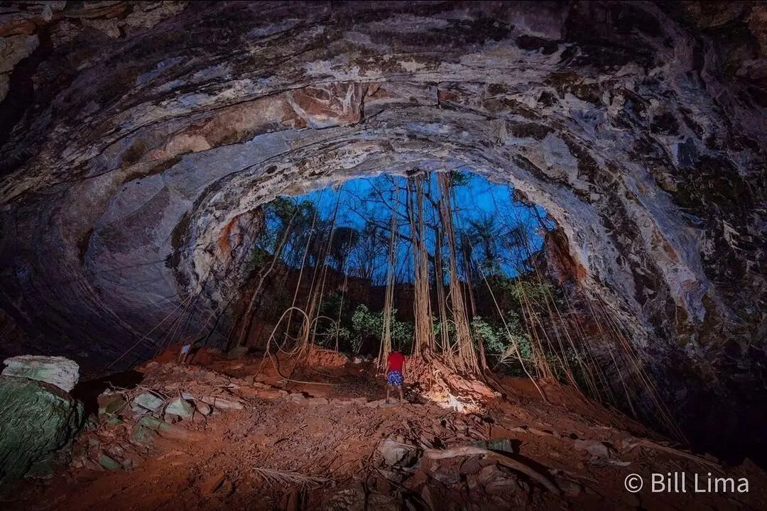 Cave entrance with tree roots hanging from the ceiling and a person in red