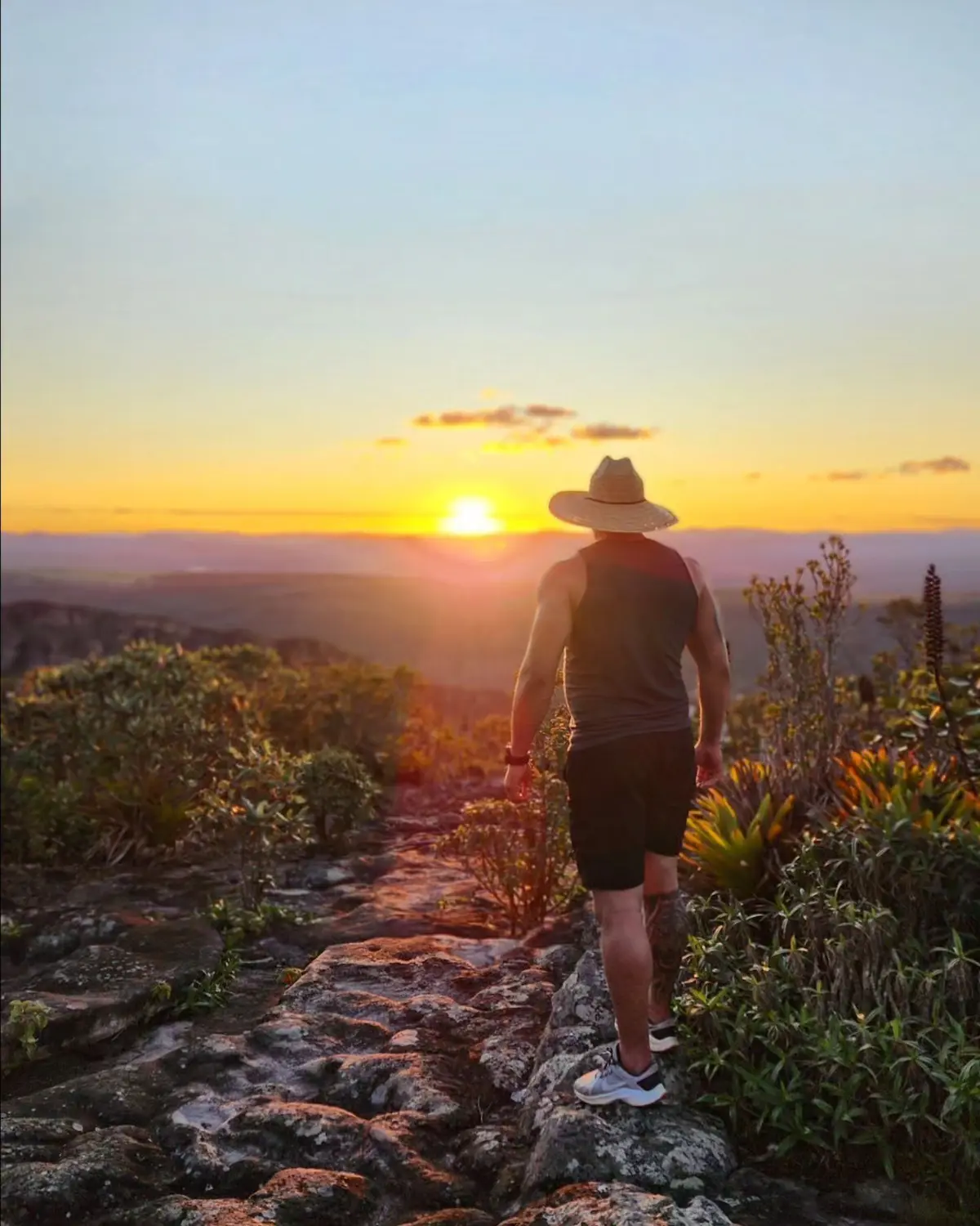 Man in a straw hat walking on a rock slab with bromeliads at sunset
