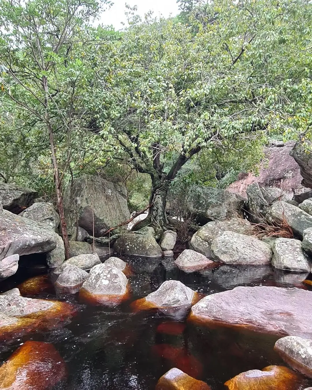 Tea-colored river among rounded stones and trees, on the Sossego Waterfall trail