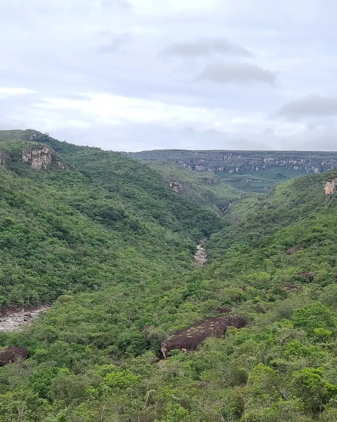Forested valley seen from high on the Sossego Waterfall trail, with flat-topped cliffs in the distance