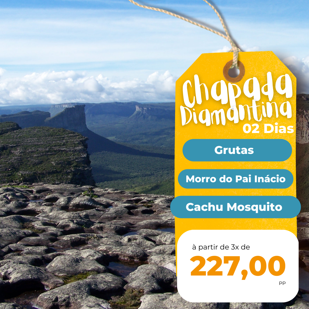 Turismo de Conhecimento: Observação de Aves na Chapada Diamantina - Guia  Chapada DiamantinaNotícias